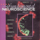 Fundamental neuroscience images /