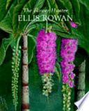 The flower hunter : Ellis Rowan /