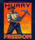 Hurry freedom : African Americans in Gold Rush California /